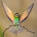 Kelly Kiser - @kiserk9 - Twitter