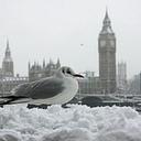 sally deem - @SallyDeem - Twitter