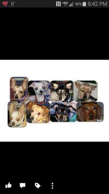 BirdMelinda's profile picture. (Cricket)•(Sophie)•(Mizu)•(Kobee)•
(Ellie)•(Vader)•(Remi)•Oskar•Penelope• (Pal)•(Max)•(Creamsicle)•(Meeko)• (Meela)•Bunnicula•Melinda #ZSHQ Privates