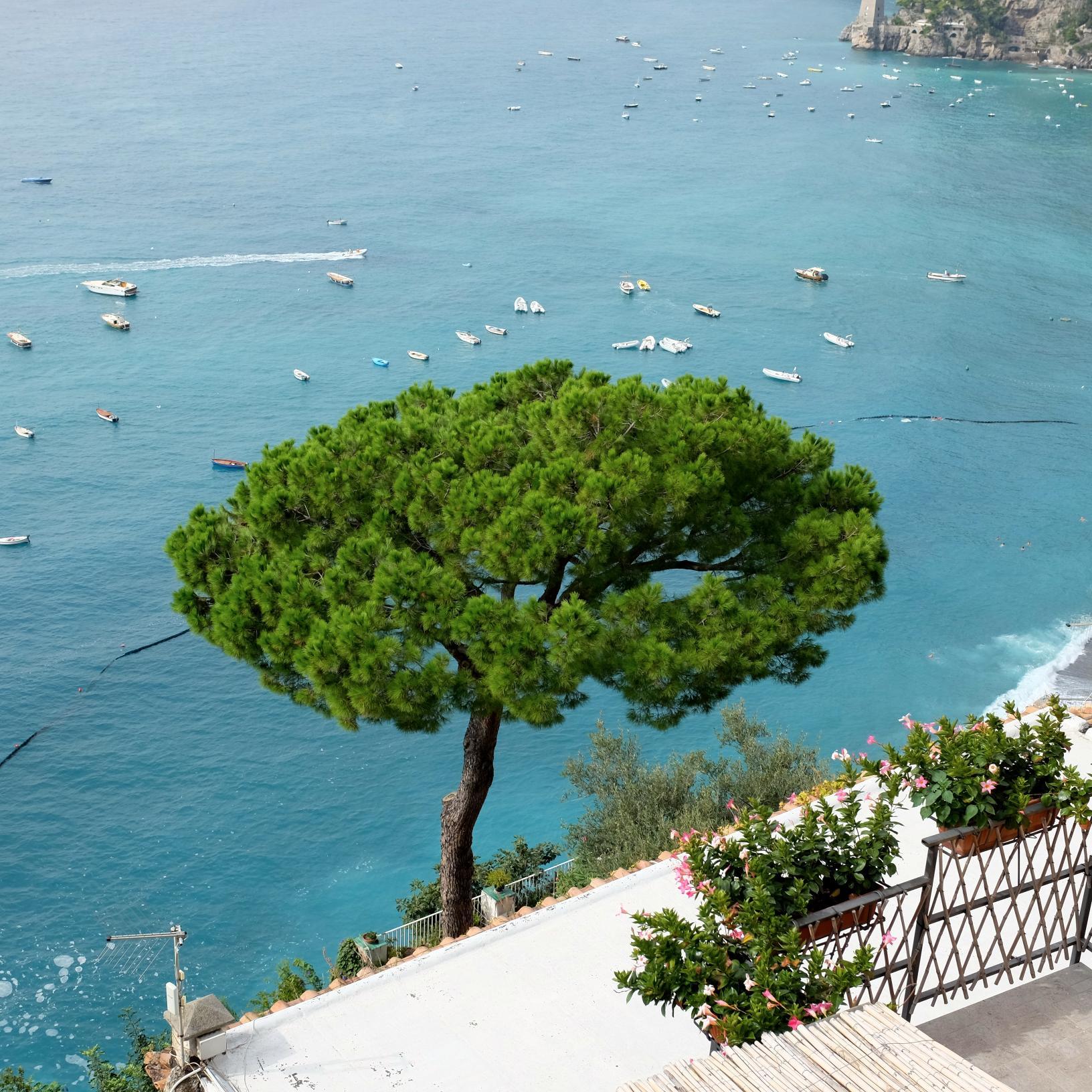 stevewinick's profile picture. living in a dream...I'll sleep when I die.