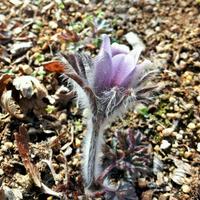 백운엽 (@bwy1077) 's Twitter Profile