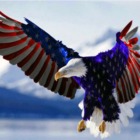 dcrccRoseburg's profile picture. Douglas County Republican Headquarters. Fiscal Conservative, Small Government, 2A, Capitalism, Individual Freedom, Keep America Strong.