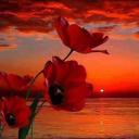 carl covington - @carl_covington_ - Twitter