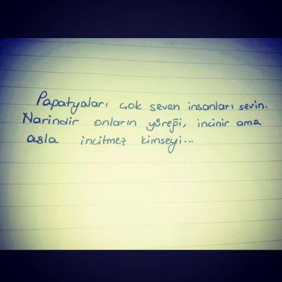 abece1907's profile picture. İnsan kefenin cebi olmadığını farketmeli artık !