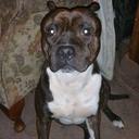 Marley Wilson - @MarleyKw - Twitter