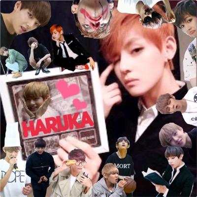 Haruka19972's profile picture. 