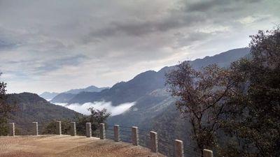 ledortp3's profile picture. 