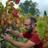 oriol_artigas's profile image