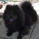 leslie jaumol mclain - @LeslieMclain3 - Twitter