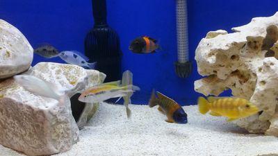 RJuntunen's profile picture. 