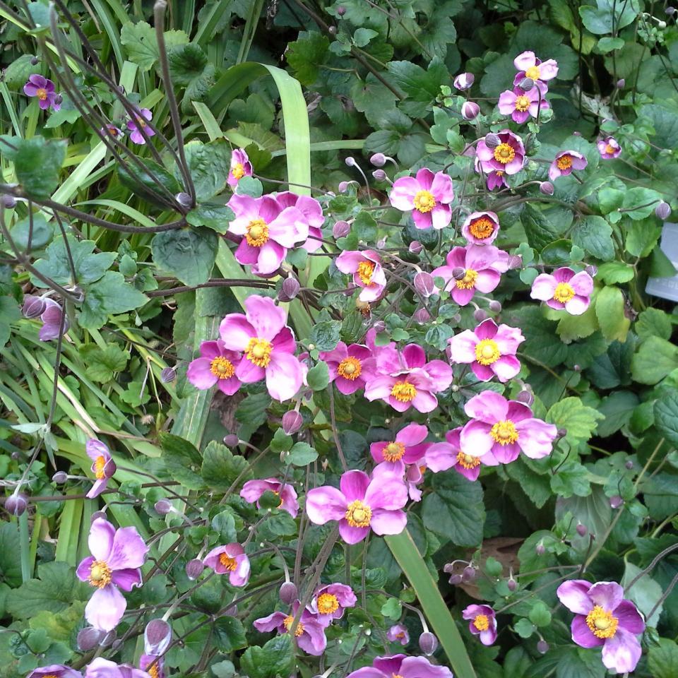 kimms102's profile picture. 안녕하세요~ 반갑습니다.