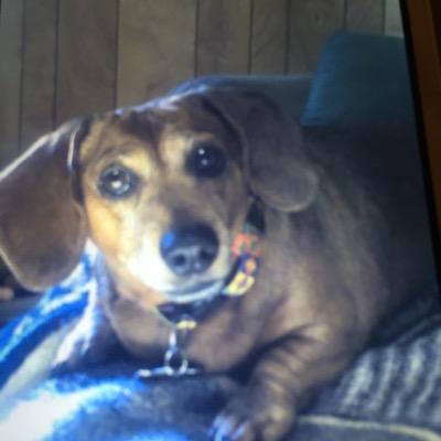 FraFra2014's profile picture. 