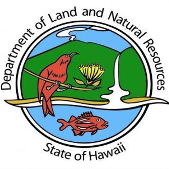 dlnr Profile Picture