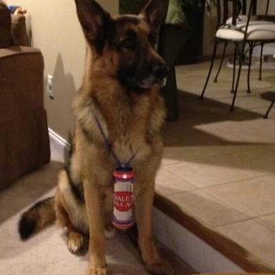 therealrrusso's profile picture. 