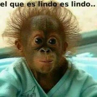 alvarotimana's profile picture. 