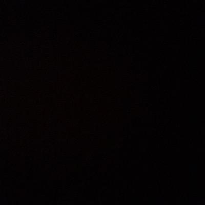 Belisegreenwood's profile picture. 