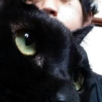 がいあの煮物 (@gargoyle0382) 's Twitter Profile