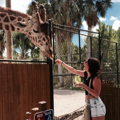 joelleloeber's profile picture. The only certainty is that nothing is certain. INSTAGRAM: @joelleloeber