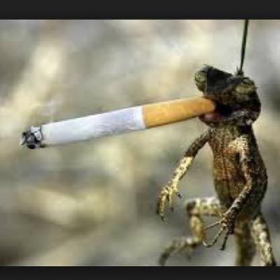 NarveyGirl03's profile picture. 