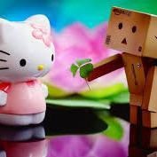 molnguyen1312's profile picture. 