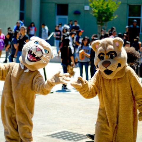 Say something nice about your friends and classmates here at EVHS!