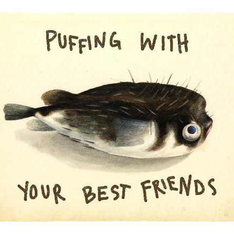 thlumplife's profile picture. 