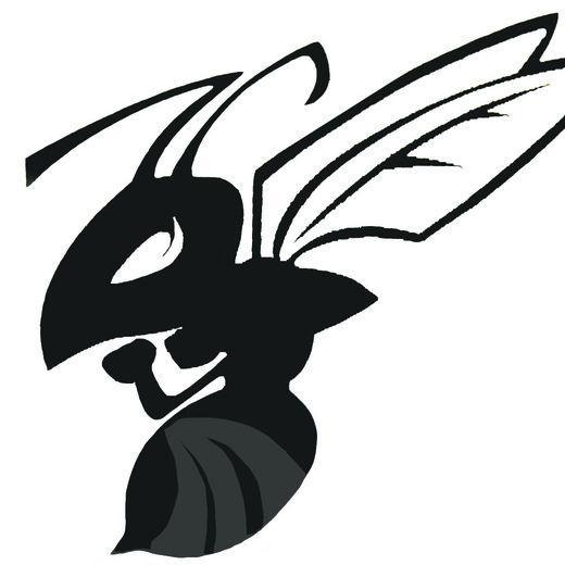 HornetDrama's profile picture. Trust. Truth. Grit