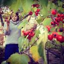 Katherine Elmer - @herbmob - Twitter