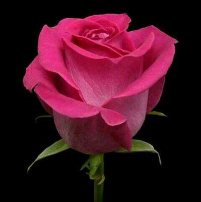 k_duno's profile picture. Mujer, madre,amiga,amante y companera!! Amo la vida y extra#o a mi madre.