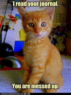 NKfink17's profile picture. 