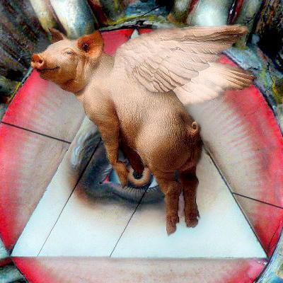 IddioPorco's profile picture. Vi osservo grugnendo dall'infinità dello spazio siderale. Parody account.