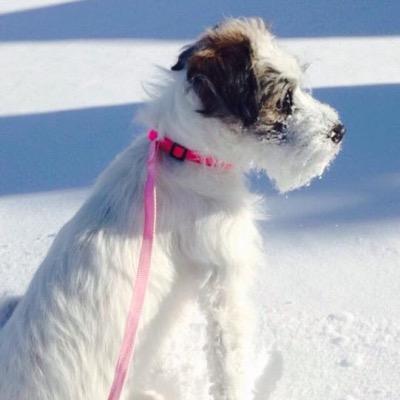 Momma_Hill's profile picture. 