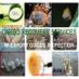 IM-EXPORT quality INSPECTION (@goodsinspection) Twitter profile photo