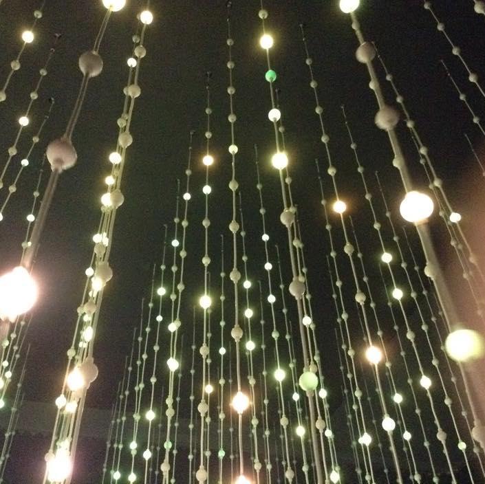 RastafaryIs's profile picture. 