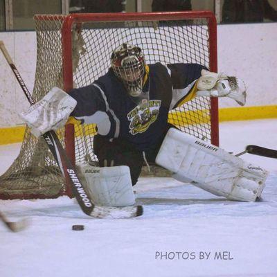 sprucetree29's profile picture. 