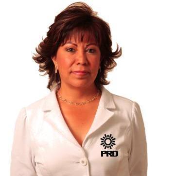 Subsecretaria @PRDedomex, 16å Regidora del H. Ayuntamiento de #Naucalpan de Juárez 2013-2015.