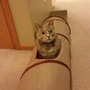 Ashley Marie Parrish - @ashleybogner - Twitter