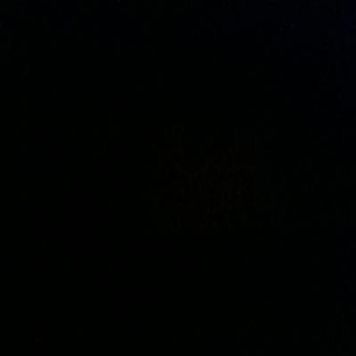 TomCheesehead's profile picture. 