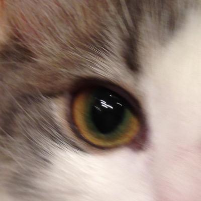 zimmer_deb's profile picture. 