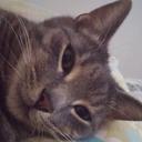 Kim Rodman - @BigMamaRodman - Twitter