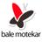 balemotekar's profile image