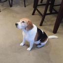 Paul seay - @seay_paul - Twitter