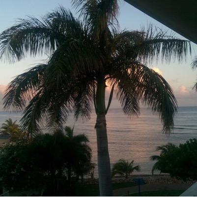 lonelyroad9289's profile picture. 