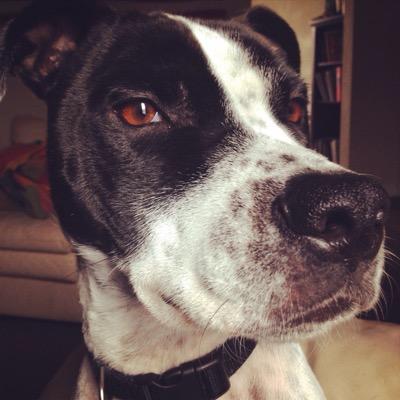 jeffreyleeM's profile picture. Digital Media Producer and master of Leeroy