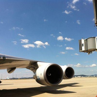 인천공항 근무 항공노동자/합리적 진보/나꼼수/나꼽살/영문학도/인문학심취/역사학과 경제학 관심/제주 올레길 걷기/조중동 OUT/친일파 청사ㄴ