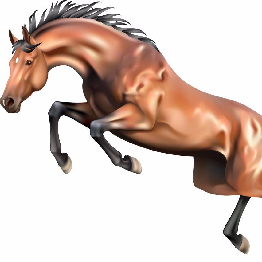 知ってるだけで全然違う！競馬の常識のような格言を集めました！これで当たること間違いなし。