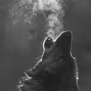 just follow me and i will follow you back :)