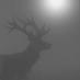 Wendigo (@misstheforest) Twitter profile photo Wendigo (@misstheforest) Twitter profile photo