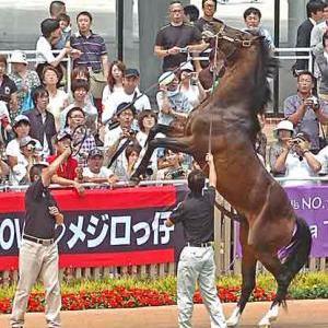 競馬好きさん繋がって下さい！
