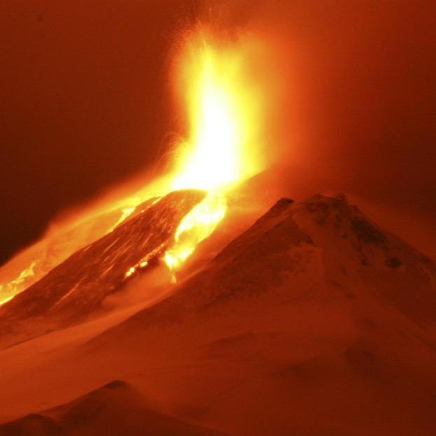 foxy_man_kaena's profile picture. 